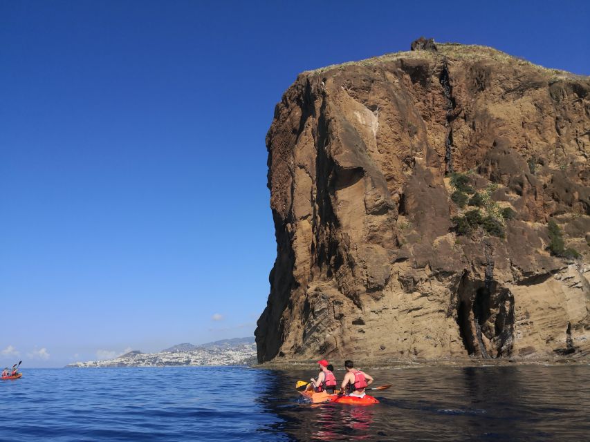 Madeiras Marine Reserve: Kayak & Snorkelling Trip - Key Points