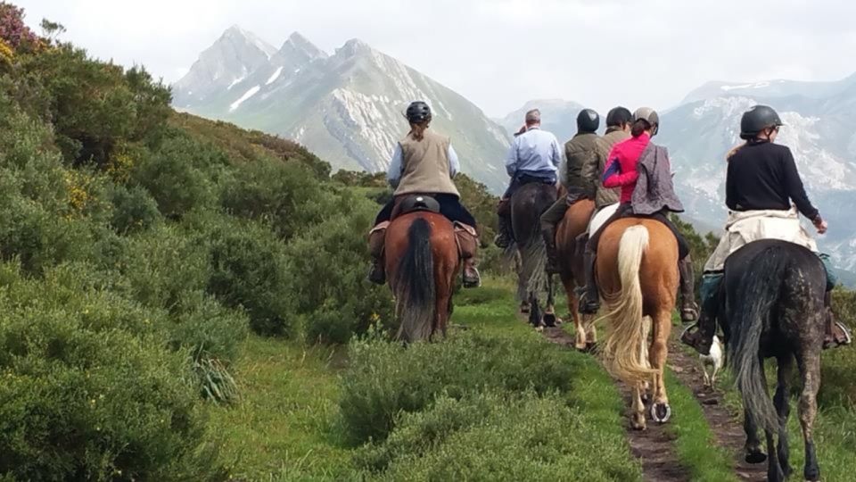 Madrid: Horse Riding in Sierra Del Guadarrama National Park - Key Points