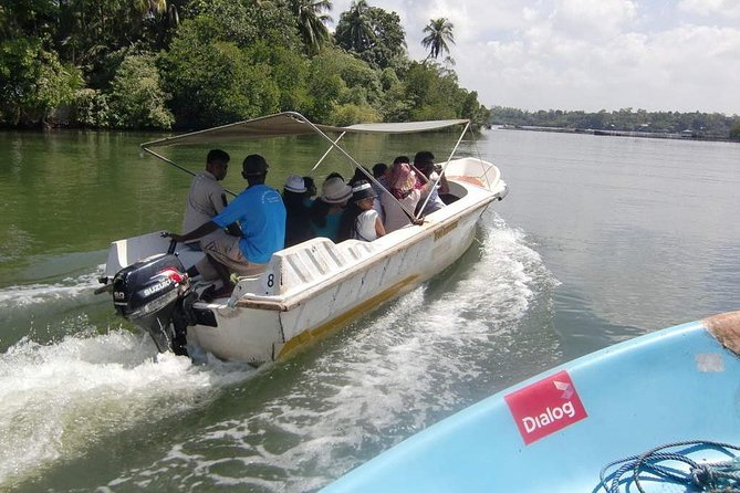 Madu River Boat Safari Balapitiya - Key Points