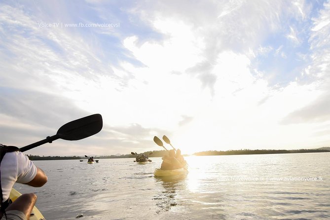 Madu River Sunrise Mangrove Kayaking From Bentota - Key Points