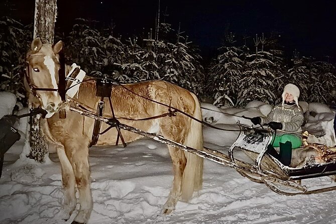 Magical Night Sleigh Ride Along Santas Paths - Key Points