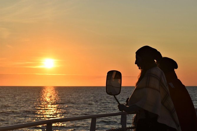 Magical Whales in the Midnight Sun From Reykjavik - Key Points