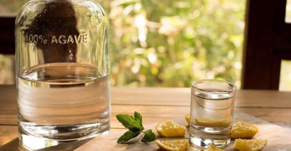 Mahahual: Authentic Mezcal & Tequila Tasting Experience - Key Points
