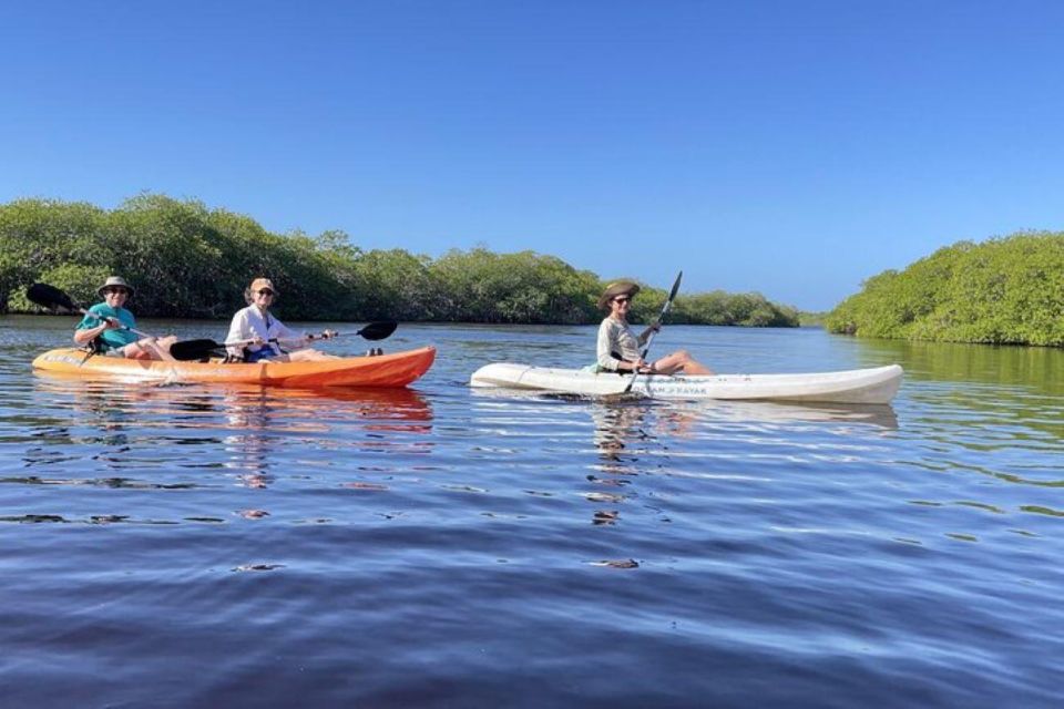 Mahahual: Kayaking in the Mangroves Experience - Key Points