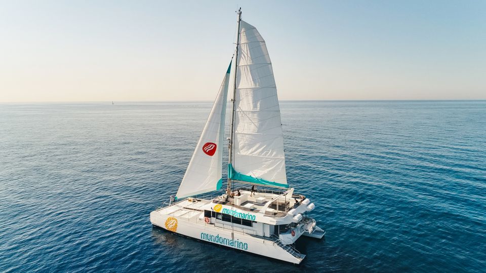 Malaga: Catamaran Sailing Trip With Sunset Option - Key Points