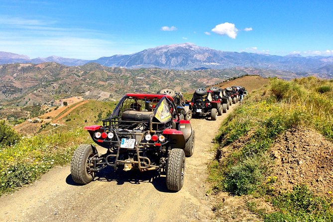 Malaga Shore Excursion: Panoramic Buggy Tour With Wine Tasting in a Historical Cellar - Tour Highlights