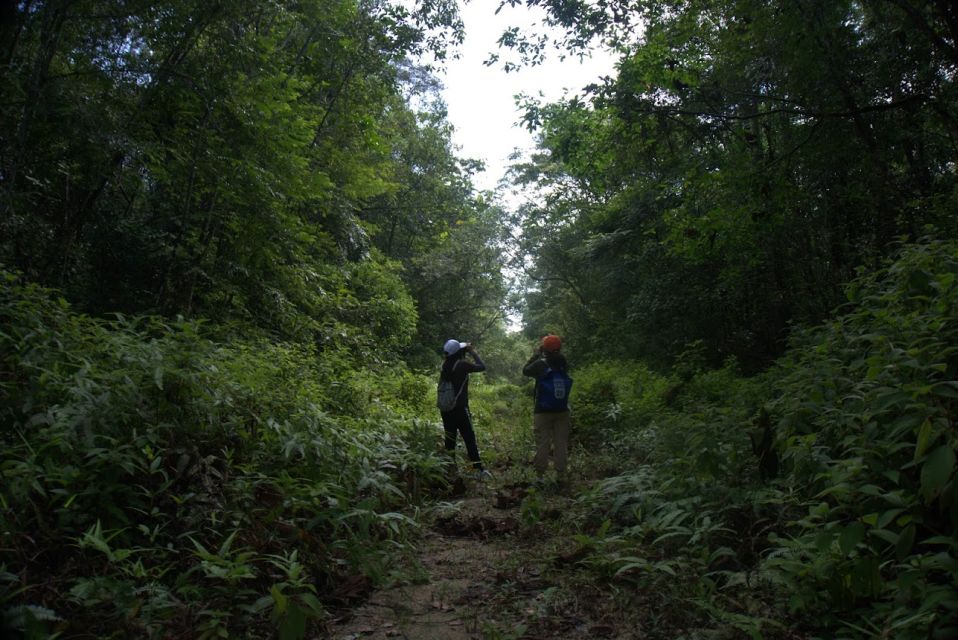 Malaysia: Gunung Panti Forest Reserve Guided Nature Tour - Key Points