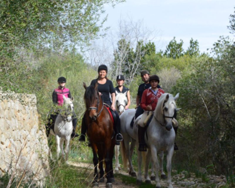 Mallorca: Guided Horseriding Tour of Randa Valley - Key Points