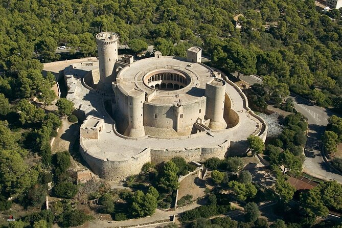 Mallorca Shore Excursion Bellver Castle and Cathedral Private Tour - Tour Highlights