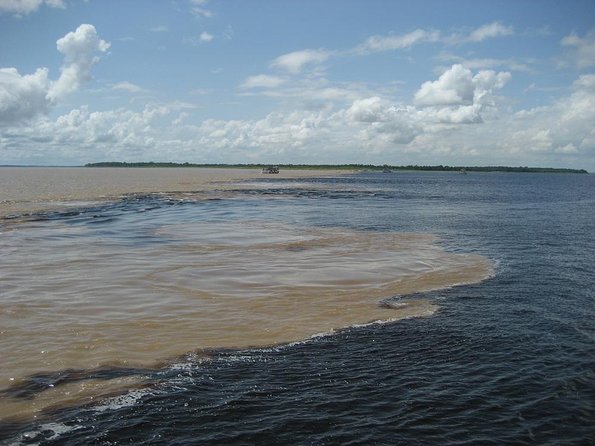 Manaus City Tour and Tour Meeting of the Waters by Speedboat - Key Points