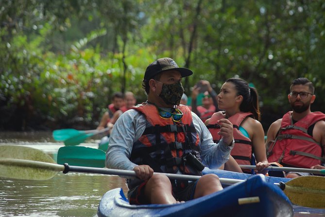 Mangrove Damas Island Kayak Tours - Key Points