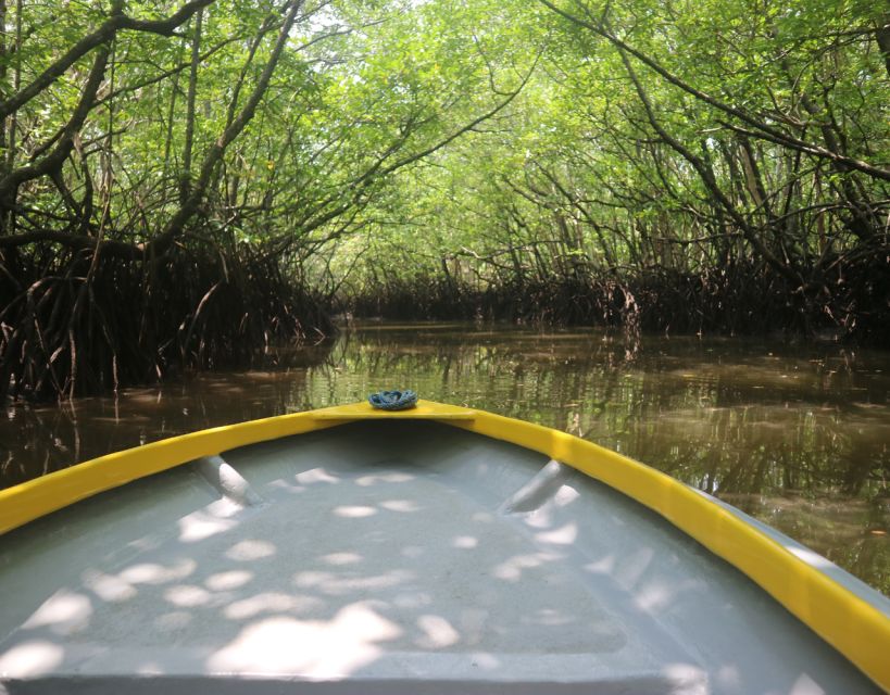 Mangrove Day Tour - Bintan - Key Points