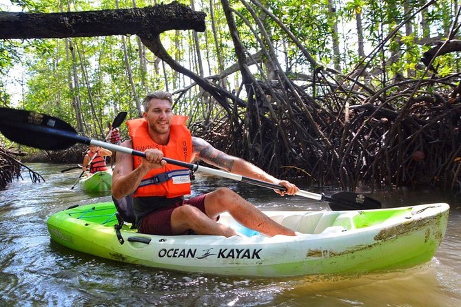 Mangrove Kayaking Adventure - Key Points