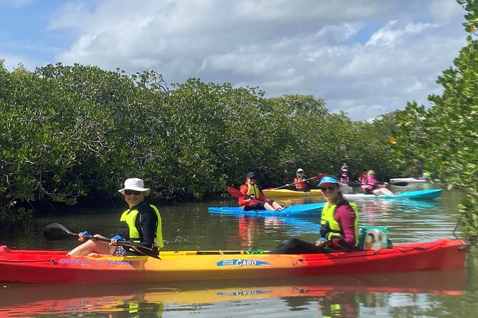 Mangroves and Mansions Guided Kayak Tour on the Noosa River - Key Points