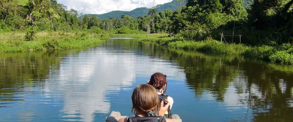 Manu Jungle Excursion 3D Cloud Forest, Night Hike - Key Points