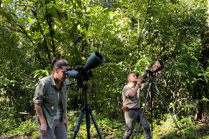 Manuel Antonio Birding Tour With Naturalist and Bird Expert  - Quepos - Tour Inclusions