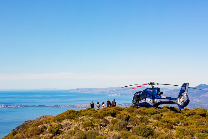 Marine Biologist Helicopter Tour: Whales and Cray Tails - Key Points