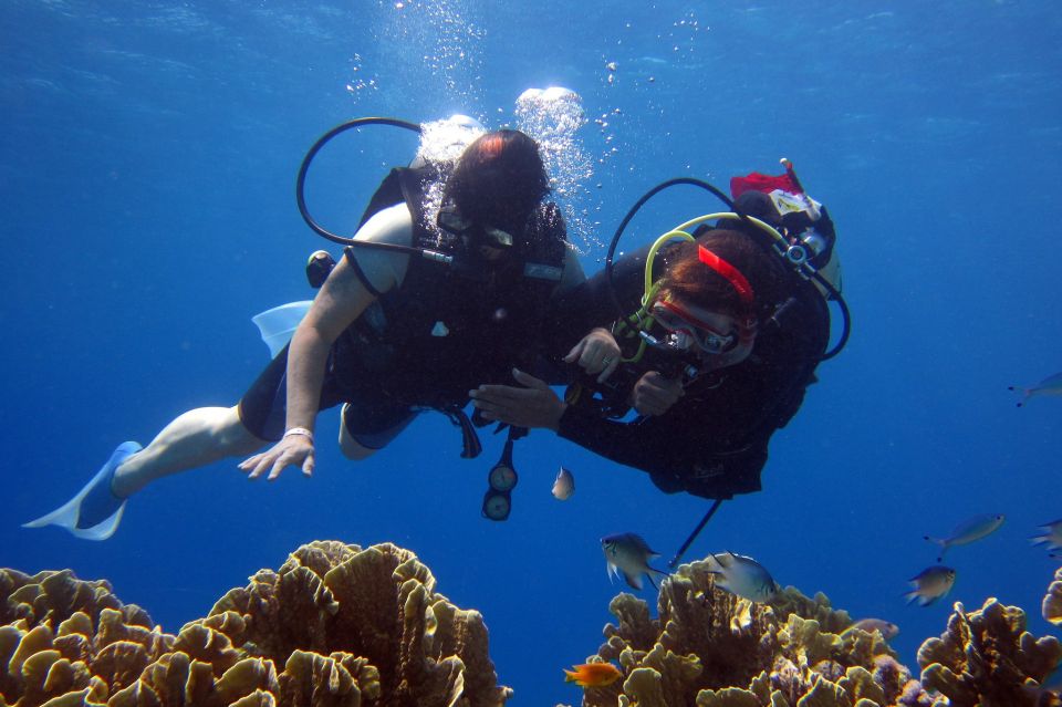 Marmaris: Scuba Diving Experience With 2 Dives and Lunch - Key Points