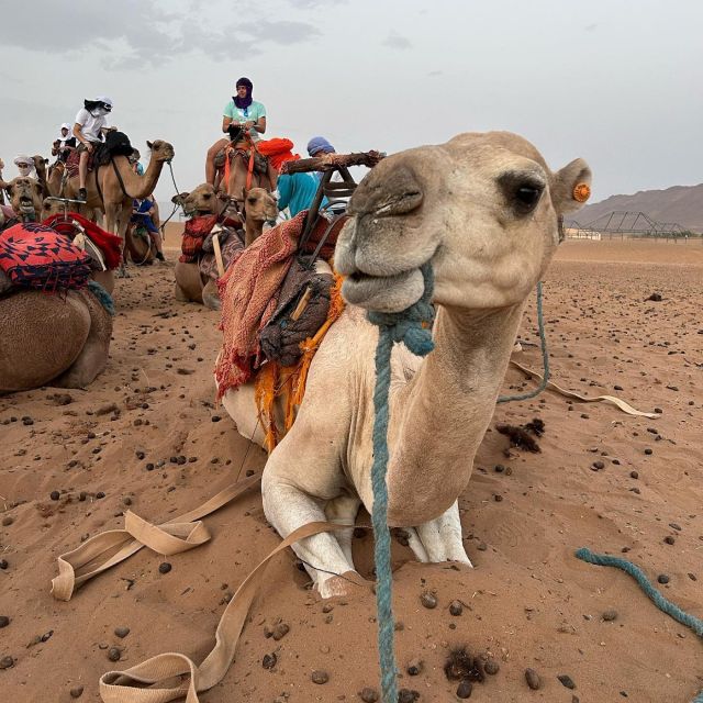 Marrakech: 2 Day Zagora Desert Tour by Ait Ben Haddou Kasbah - Key Points