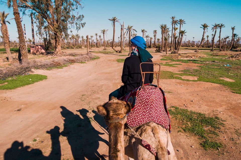 Marrakech: 2-Hour Quad Bike & Camel Ride in Palmeraie - Key Points