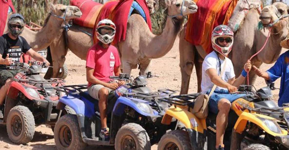 Marrakech 3-Hour Quad Bike & Camel Ride in Palmeraie - Key Points