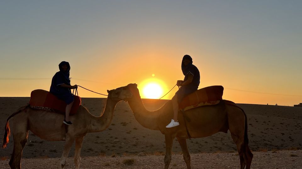 Marrakech Agafay Desert, Atlas Mountains & Camel Ride Trip - Key Points