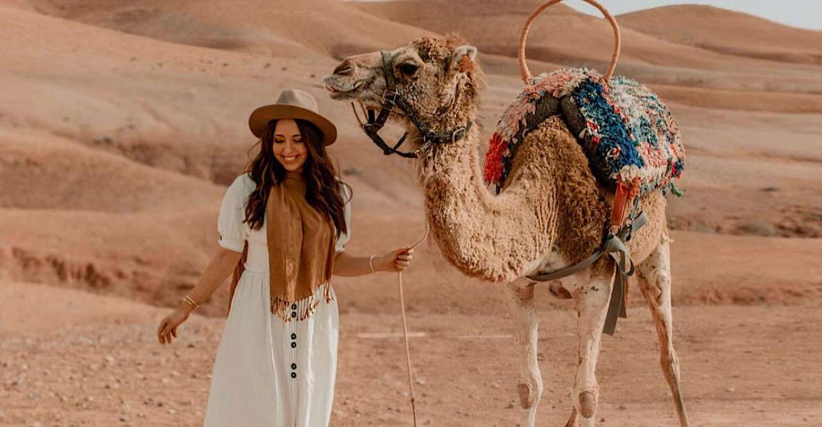 Marrakech: Agafay Desert Quad & Camel Rides With Dinner Show - Key Points