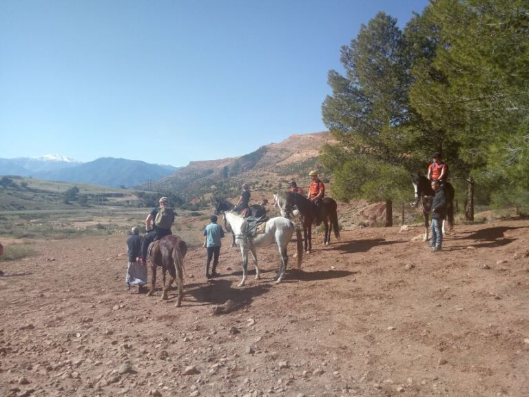 Marrakech: Atlas Mountains Horse Riding Day Trip