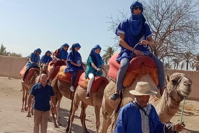 Marrakech Camel Ride in Palm Grove - Key Points