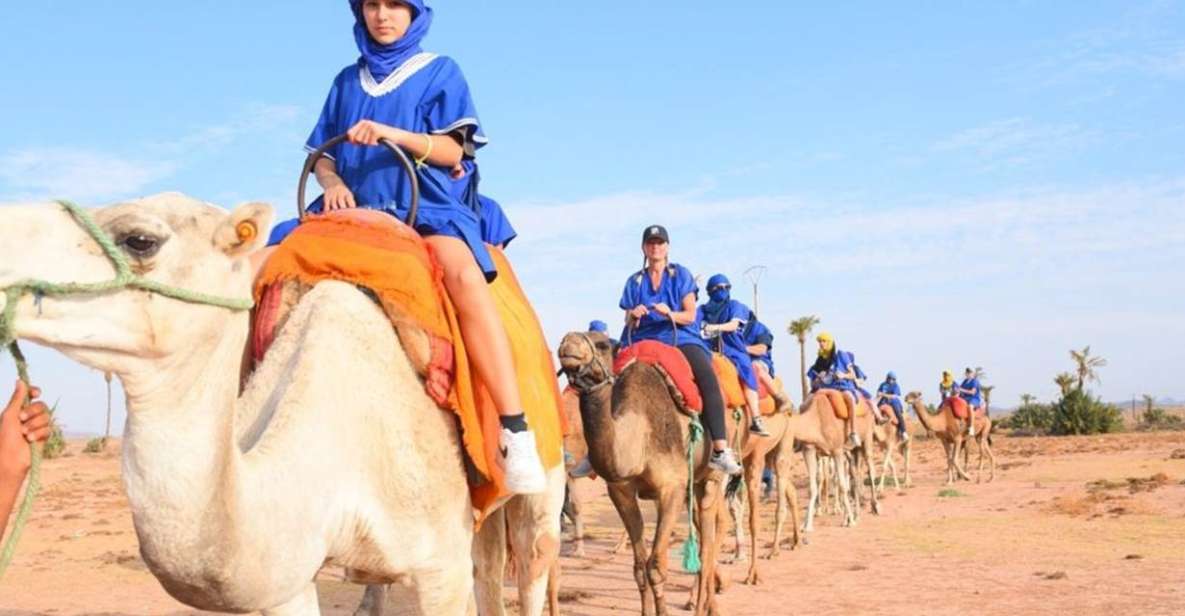 Marrakech : Camel Ride in Palmeraie With Tea Break - Key Points