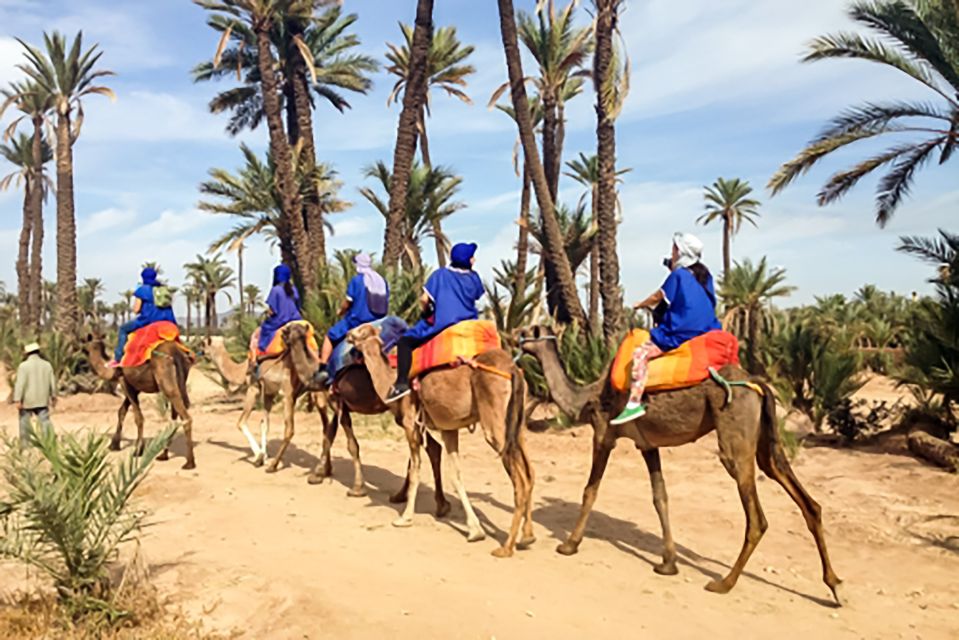 Marrakech: Camel Ride in the Oasis Palmeraie - Key Points