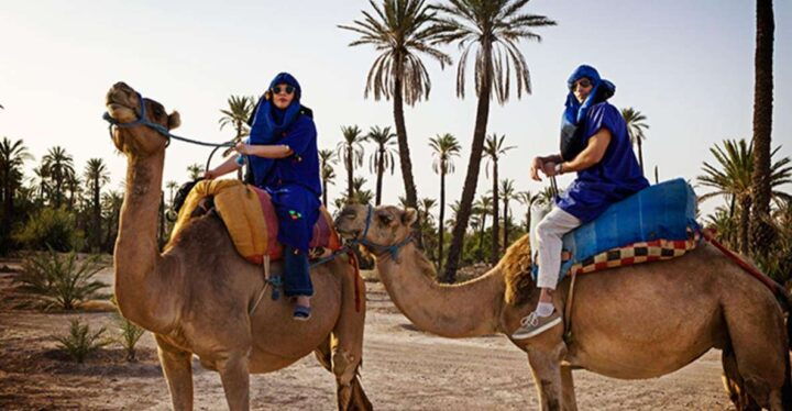 Marrakech Camel Ride in the Oasis Palmeraie and Desert - Key Points