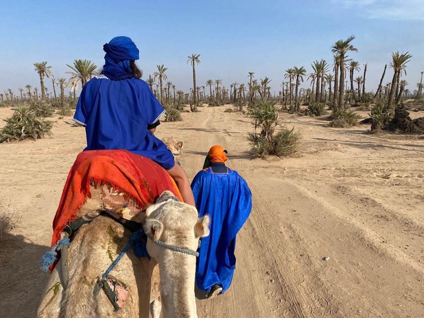Marrakech Camel Ride in the Palm Grove - Key Points