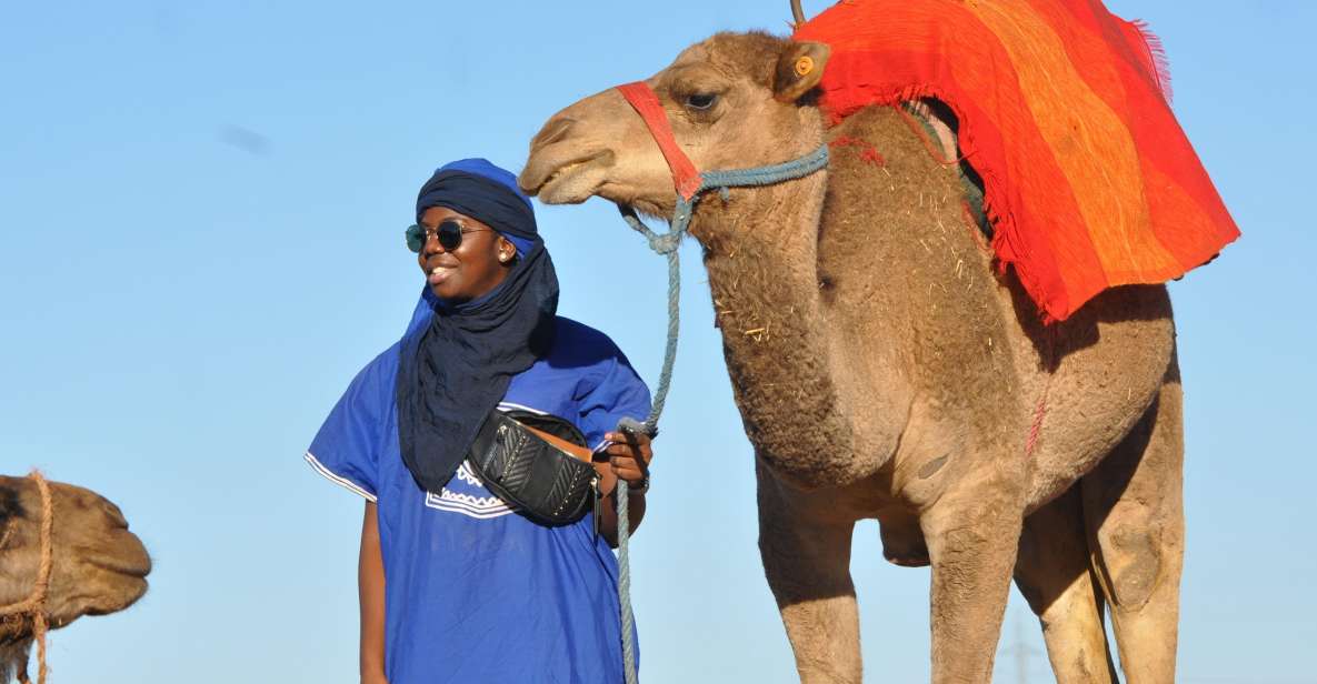 Marrakech : Camel Ride in the Palm Grove With Transport - Key Points