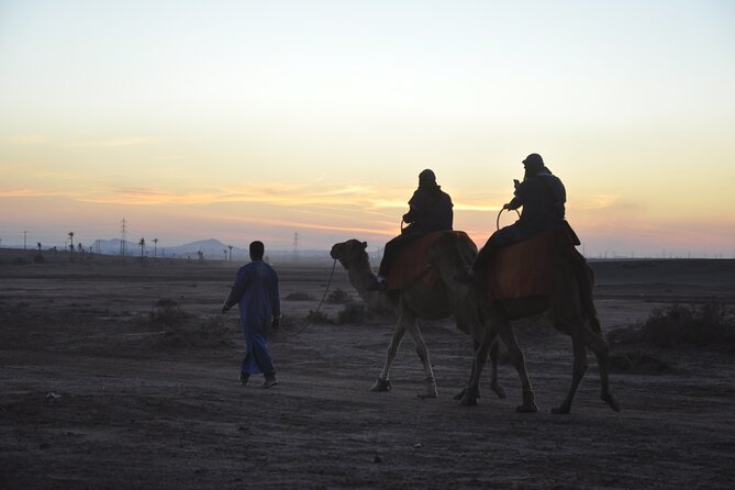 Marrakech: Camel Ride in the Palm Grove - Key Points