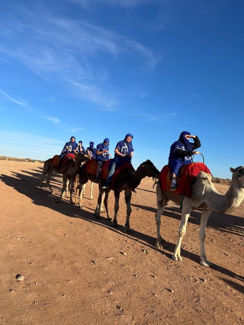 Marrakech : Camel Ride or Quad Bike & Wellness Spa Day Tour - Key Points