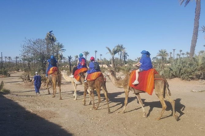 Marrakech Camel Safari at Agafay Desert - Key Points
