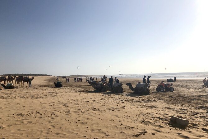Marrakech Day Trip to Essaouira - Horseback, Camel Ride, ATV on the Beach - Key Points