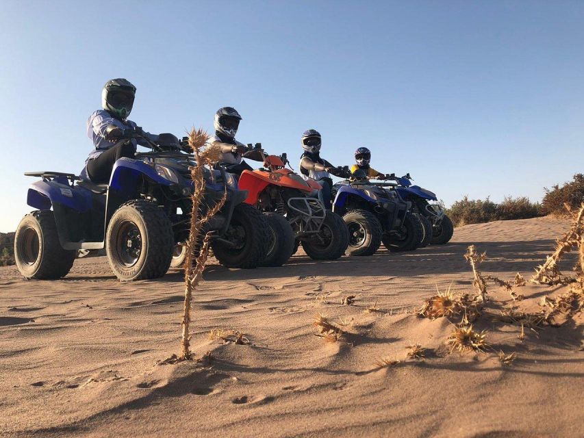 Marrakech: Desert and Palm Grove Quad Tour With Tea - Key Points