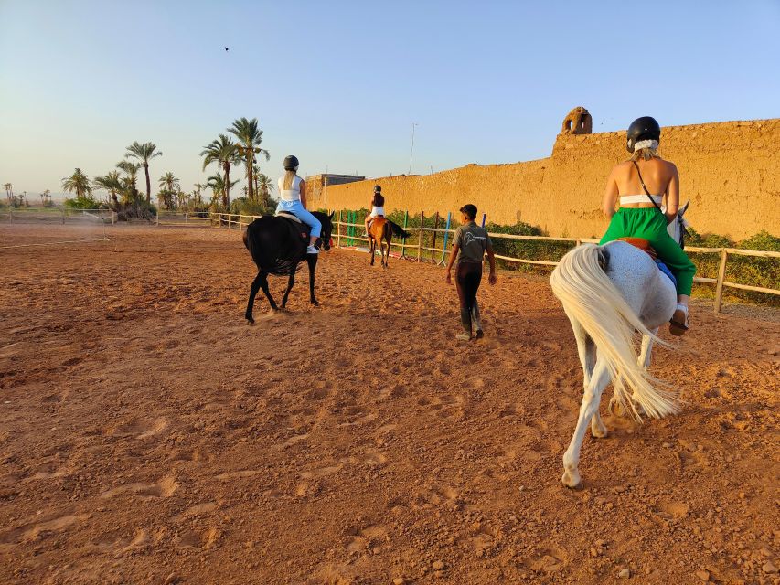 Marrakech: Desert and Palmeraie Horse Riding Tour & Transfer - Key Points