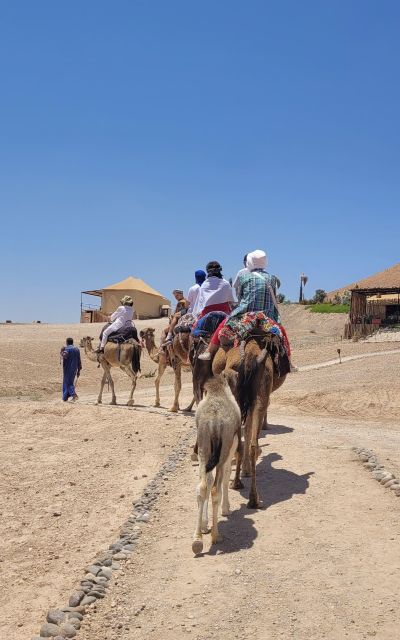 Marrakech Desert: Camel Riding, Dinner With Music & Show - Key Points