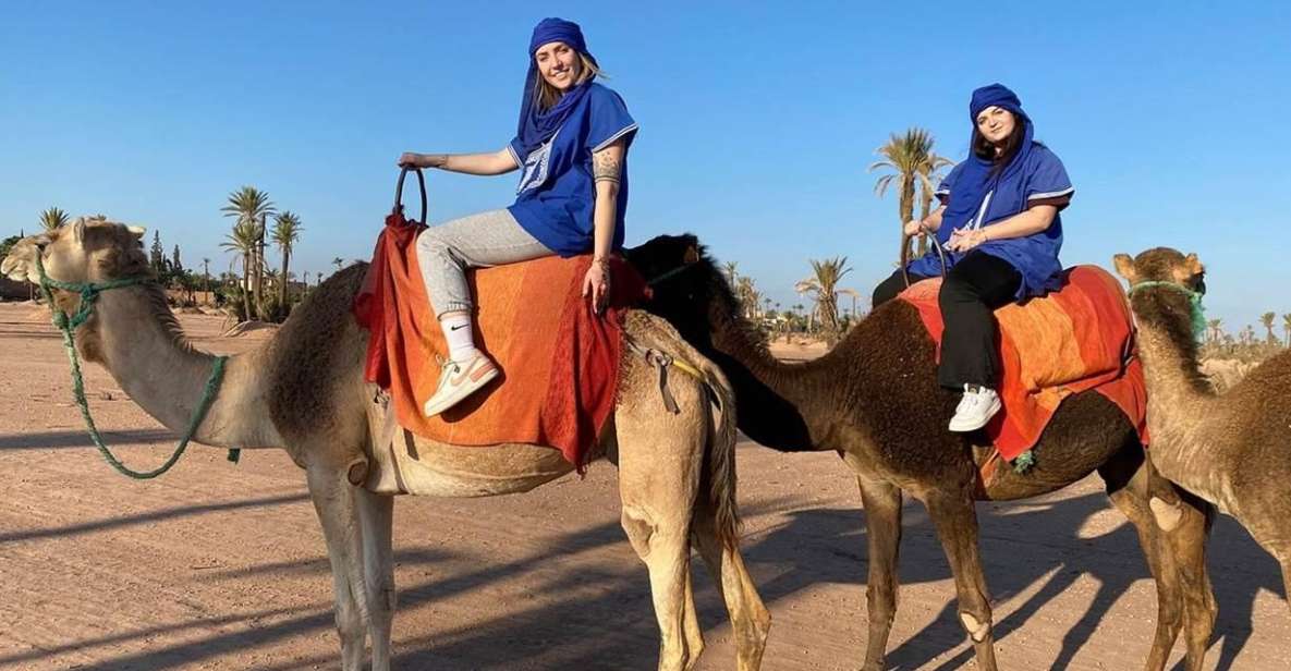 Marrakech : Exciting Camel Ride in Palmeraie - Key Points