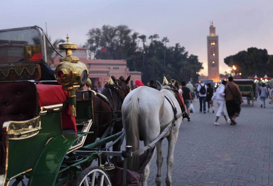 Marrakech Full-Day Guided Tour With Lunch - Key Points