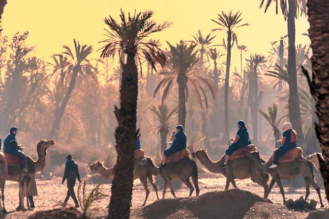 Marrakech Guided Tour From Casablanca With Camel Ride - Tour Highlights