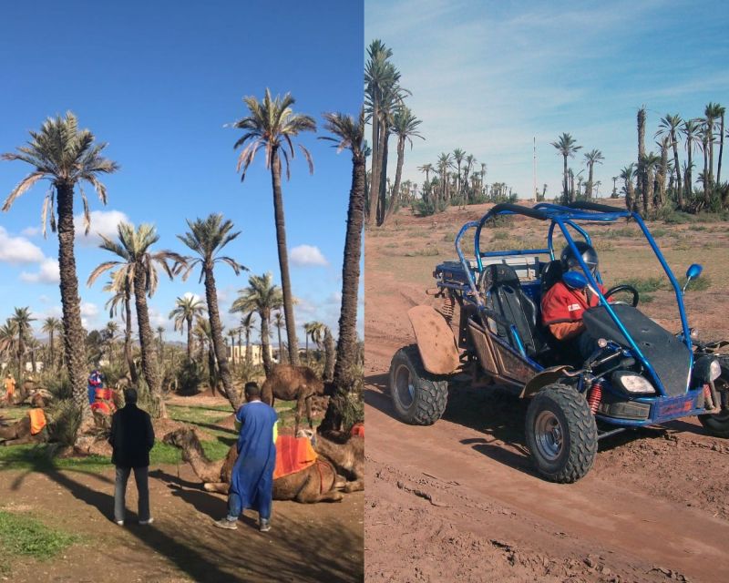 Marrakech: Half-day Dunes Trip With Buggy and Camel Ride - Key Points