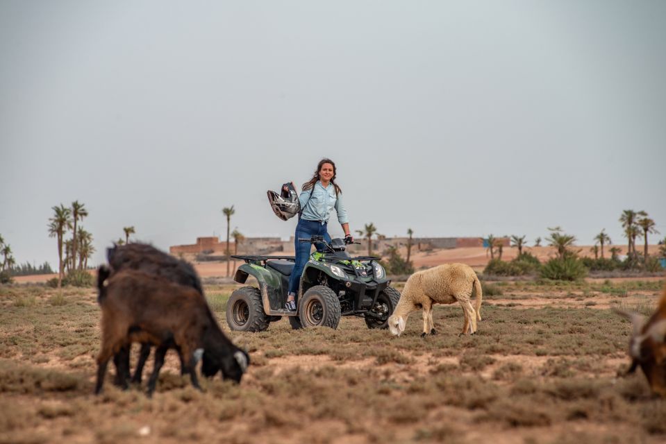 Marrakech: Half-Day Quad Bike Trip With Lunch & Hotel Pickup - Key Points