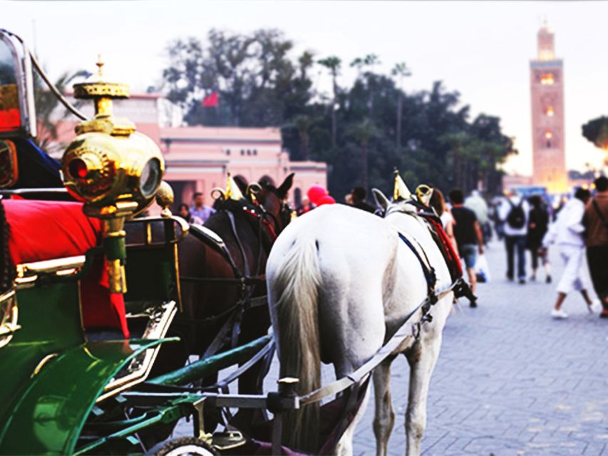 Marrakech: Horse-Drawn Carriage Tour - Key Points