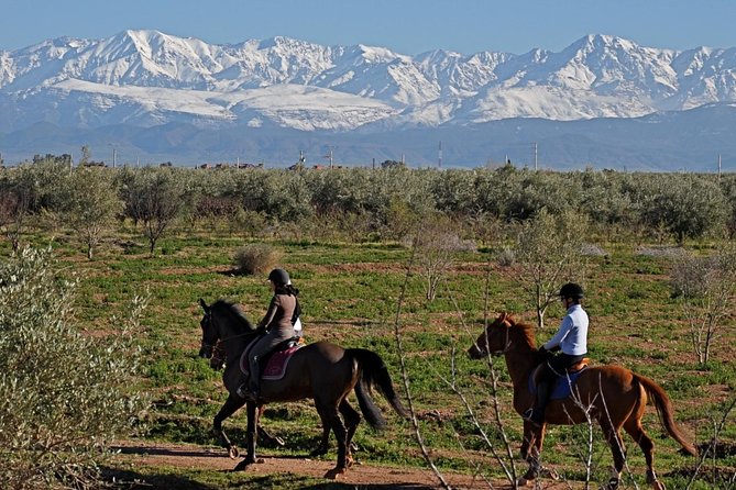 Marrakech Horse Riding - Key Points