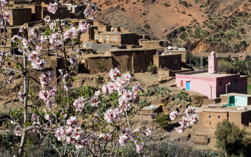 Marrakech: Ouarzazate & Ait Benhaddou Full-Day Private Trip - Key Points