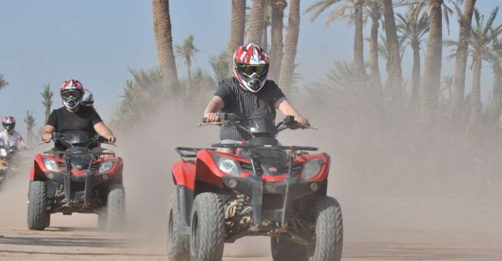 Marrakech: Palm Grove and Jbilat Desert Quad Bike Tour - Key Points